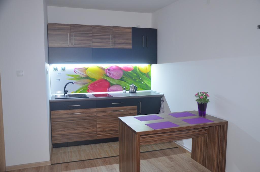 Apartament Masovia مارونجوفو الغرفة الصورة